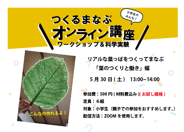 終了 5 30 リアルな葉っぱをつくってまなぶ 葉のつくりと働き 編 つくるまなぶ京都町家科学館